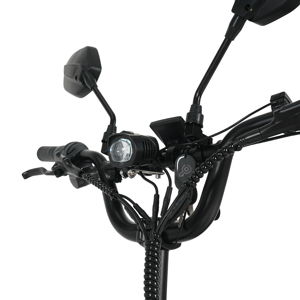 CYSUM AG1 Folding Electric Tricycle | 750W Motor & 48V 20Ah Removable Lithium Battery | Step-Through E-Trike with Hydraulic Disc Brakes, Speed Differential System, NFC LCD Display Rich Bit eBike