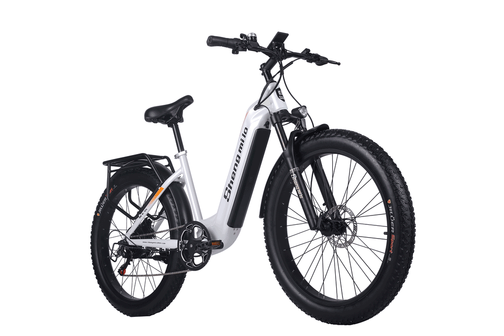 Richbit electric bicycle sales $99