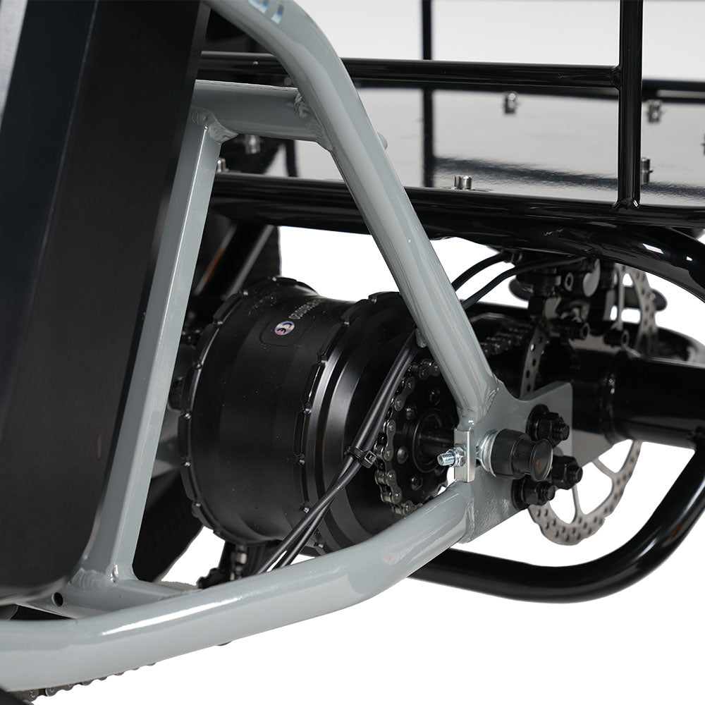 CYSUM AG1 Folding Electric Tricycle | 750W Motor & 48V 20Ah Removable Lithium Battery | Step-Through E-Trike with Hydraulic Disc Brakes, Speed Differential System, NFC LCD Display Rich Bit eBike