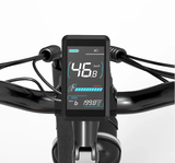 Lankeleisi Silvertip 8 Long Rang All Terrain Fat e Bike Rich Bit eBike
