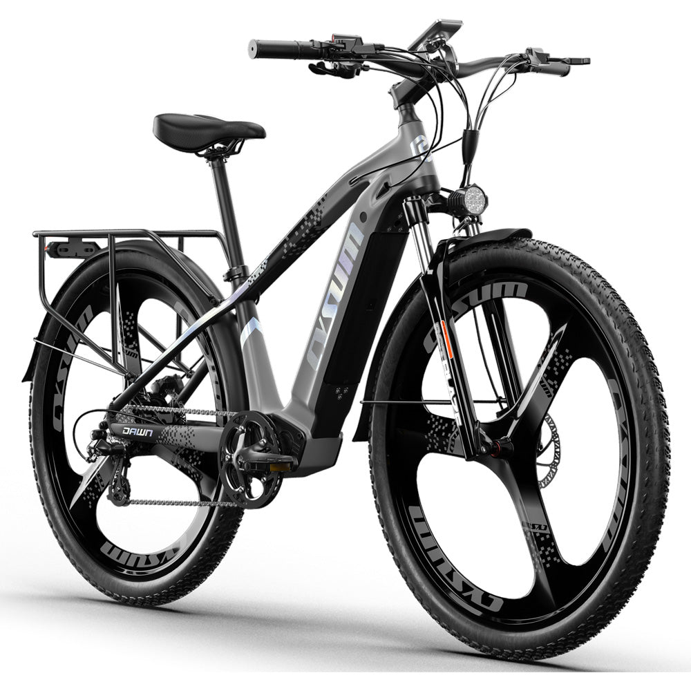 Cysum Speedy ebike（M520）48V*14A  29
