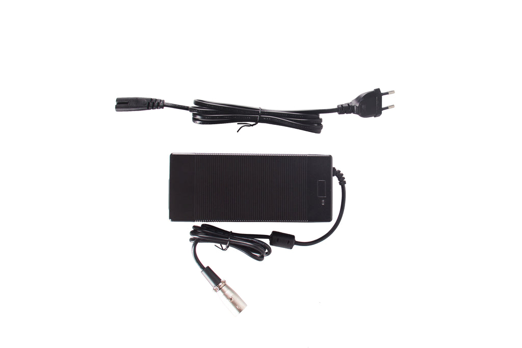 RICH BIT Electric Bike Charger 48v For TOP-022,M900,M980